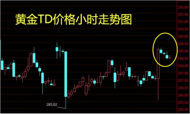 黃金td.jpg