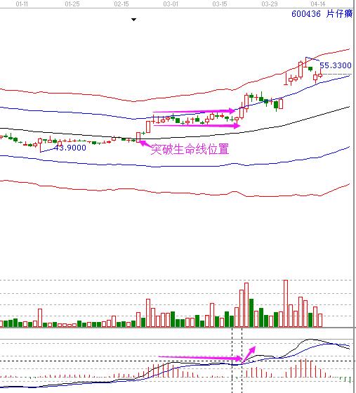 片仔癀 600436 macd走勢(shì).jpg