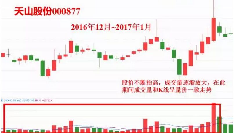 天山股份走勢圖.jpg